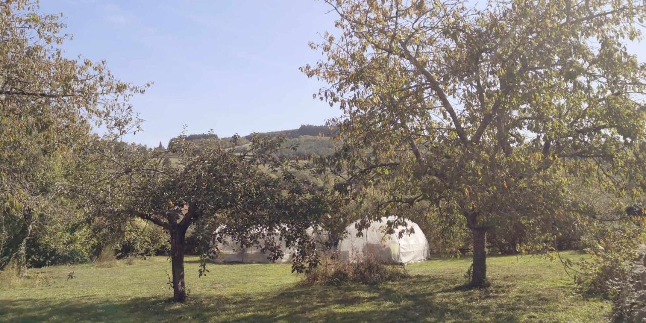 Petit Gite Ou Chambre D'Hotes 2/4 Personnes Buffieres Exterior photo